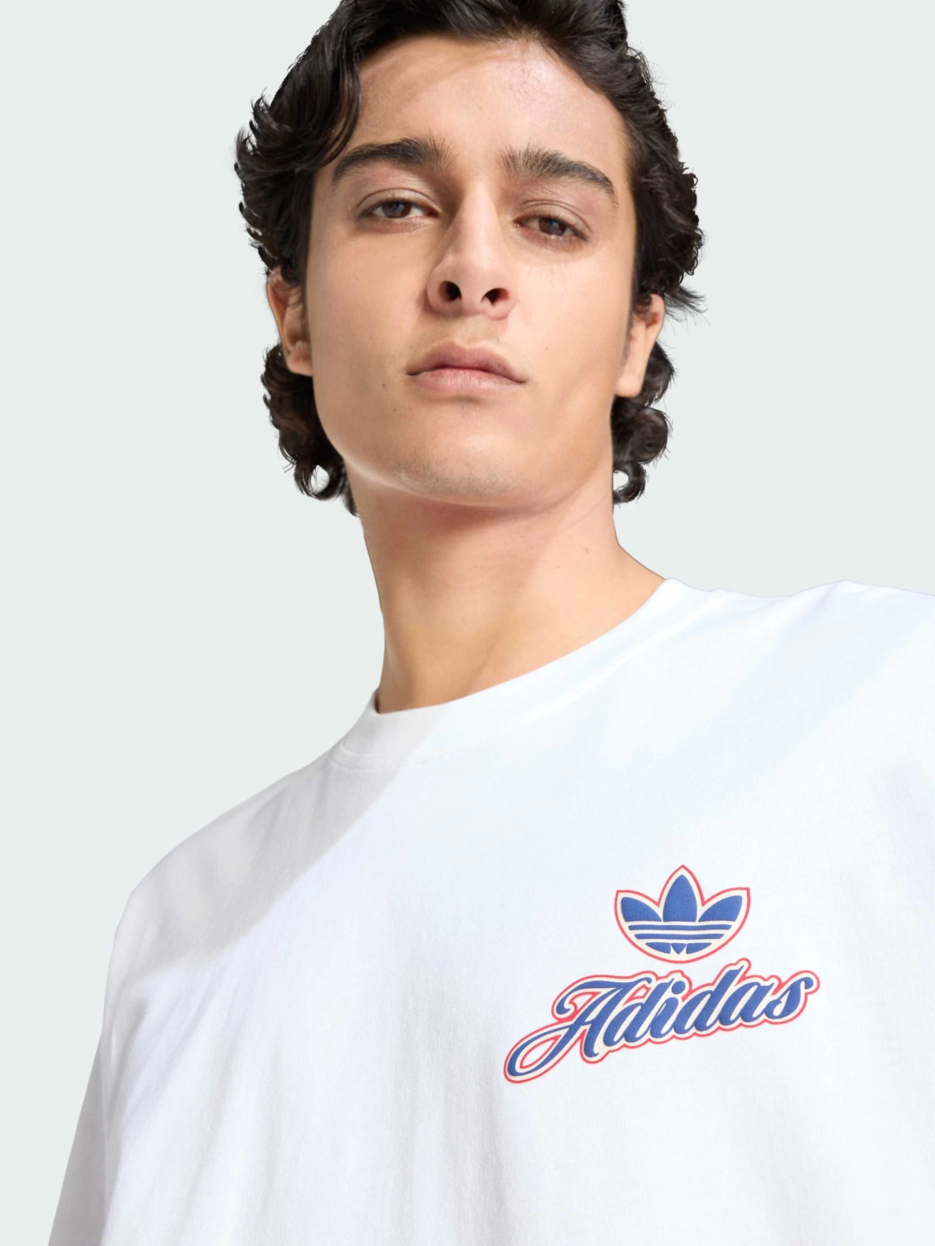 Футболки і поло Adidas Graphics модель KE2248 Фото