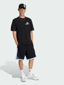 Футболки и поло Adidas Graphics модель KE2249 Фото