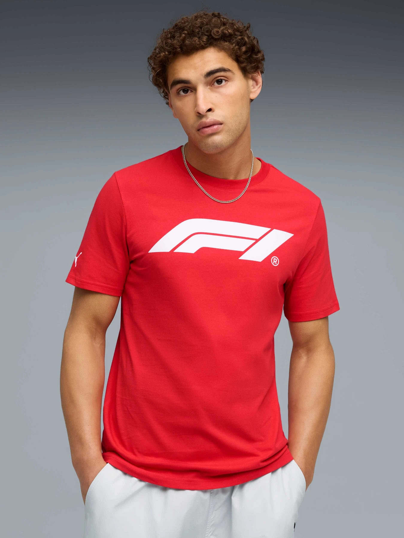 Футболки и поло PUMA F1 Ess Logo Tee 180g модель 633264 Футболки и поло PUMA F1 Ess Logo Tee 180g модель 633264 Фото