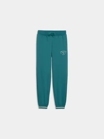 Брюки PUMA Class Sweatpants модель 692533 Фото