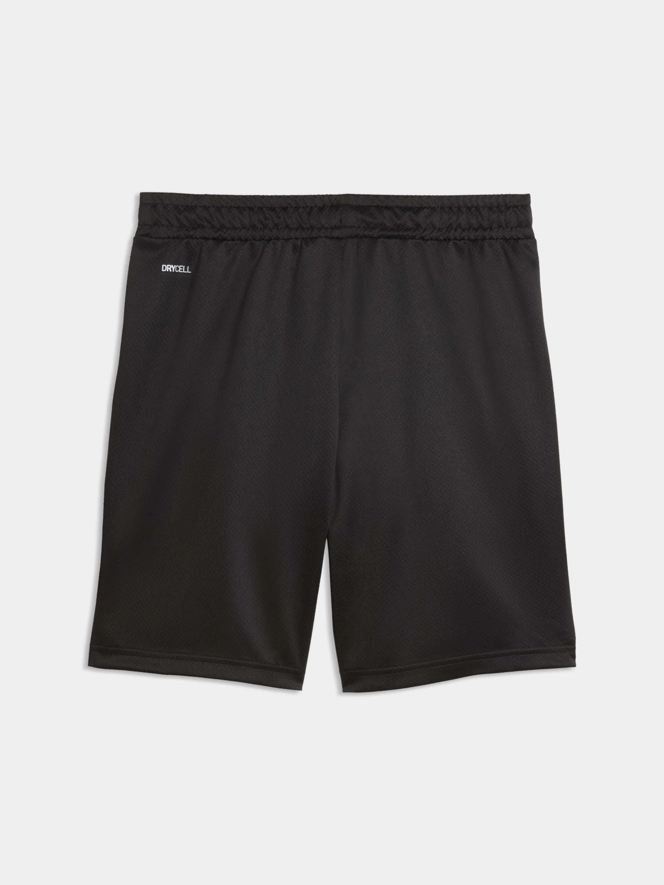 Шорты PUMA Active Sports Poly Shorts модель 691759 Шорты PUMA Active Sports Poly Shorts модель 691759 Фото
