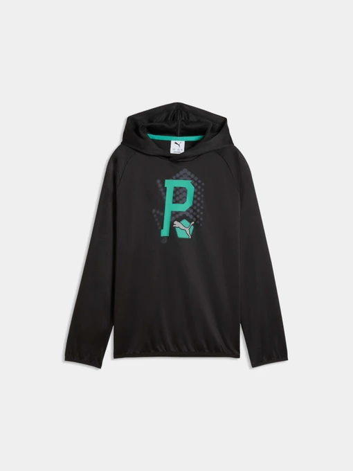 Худи и свитшоты PUMA Active Sports Hoodie модель 691757 Фото