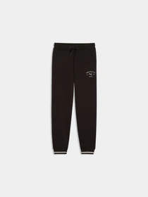 Брюки PUMA Class Sweatpants модель 692533 Фото