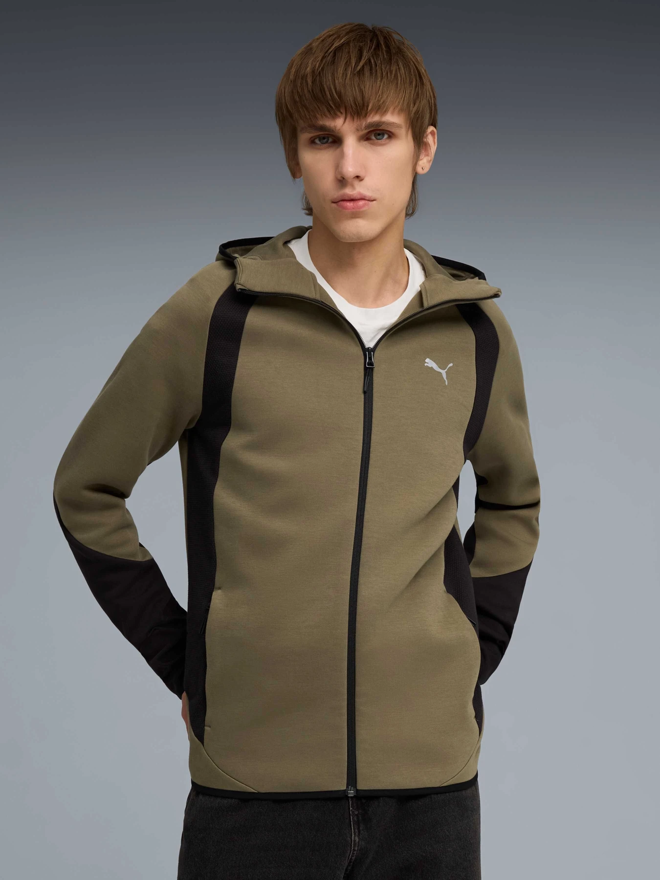 Худи и свитшоты PUMA Evostripe Fz Hoodie модель 692190 Фото