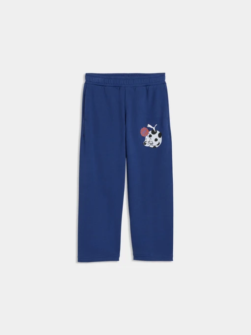 Брюки PUMA Sporty Cats Sweatpants модель 634552 Фото