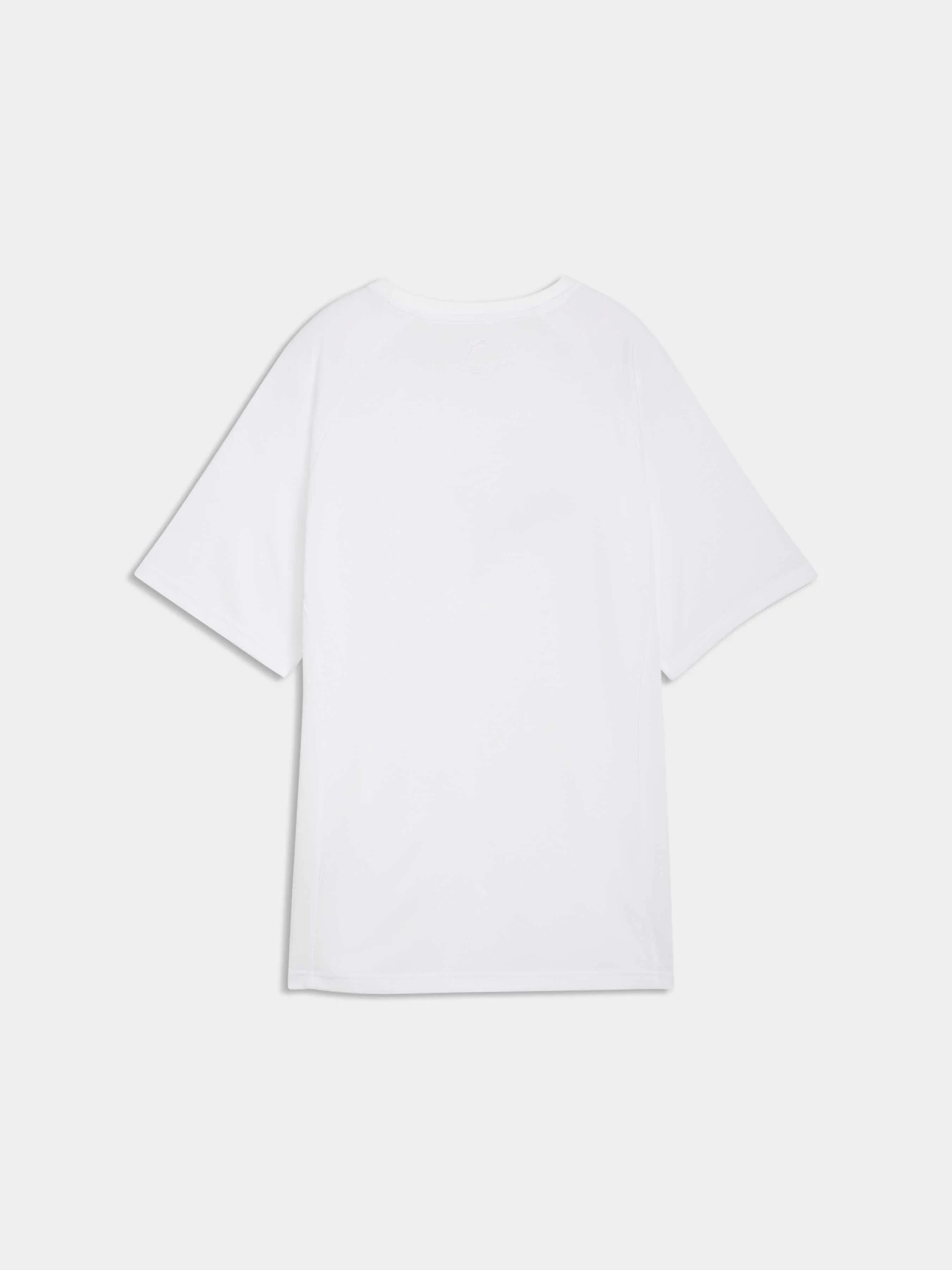 Футболки і поло PUMA Evostripe Graphic Tee модель 691896 Футболки і поло PUMA Evostripe Graphic Tee модель 691896 Фото