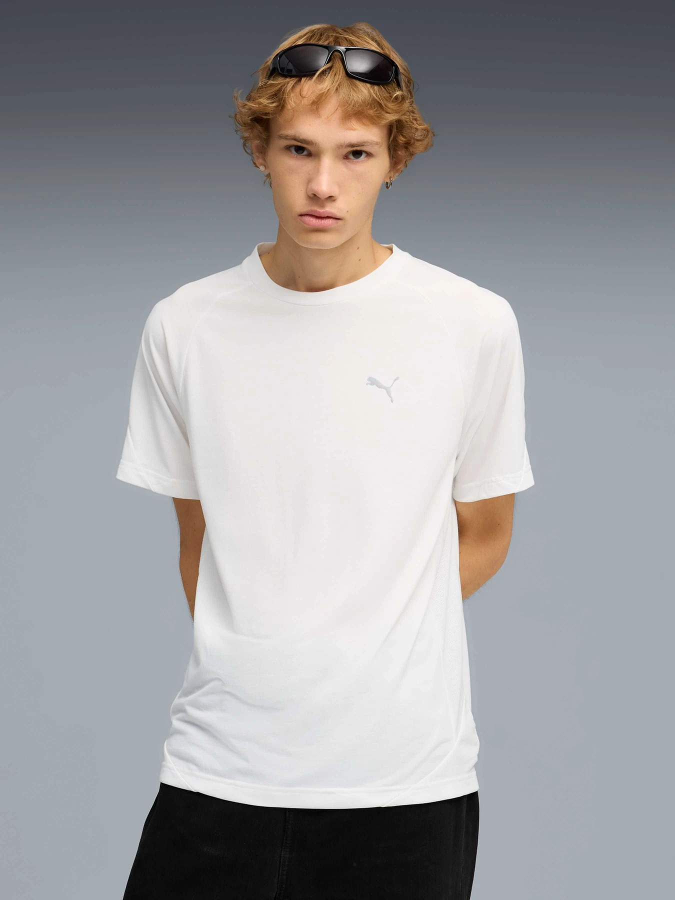 Футболки и поло PUMA Evostripe Tee модель 692189 Футболки и поло PUMA Evostripe Tee модель 692189 Фото