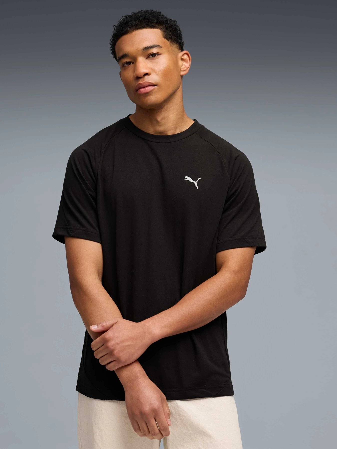 Футболки и поло PUMA Evostripe Tee модель 692189 Футболки и поло PUMA Evostripe Tee модель 692189 Фото