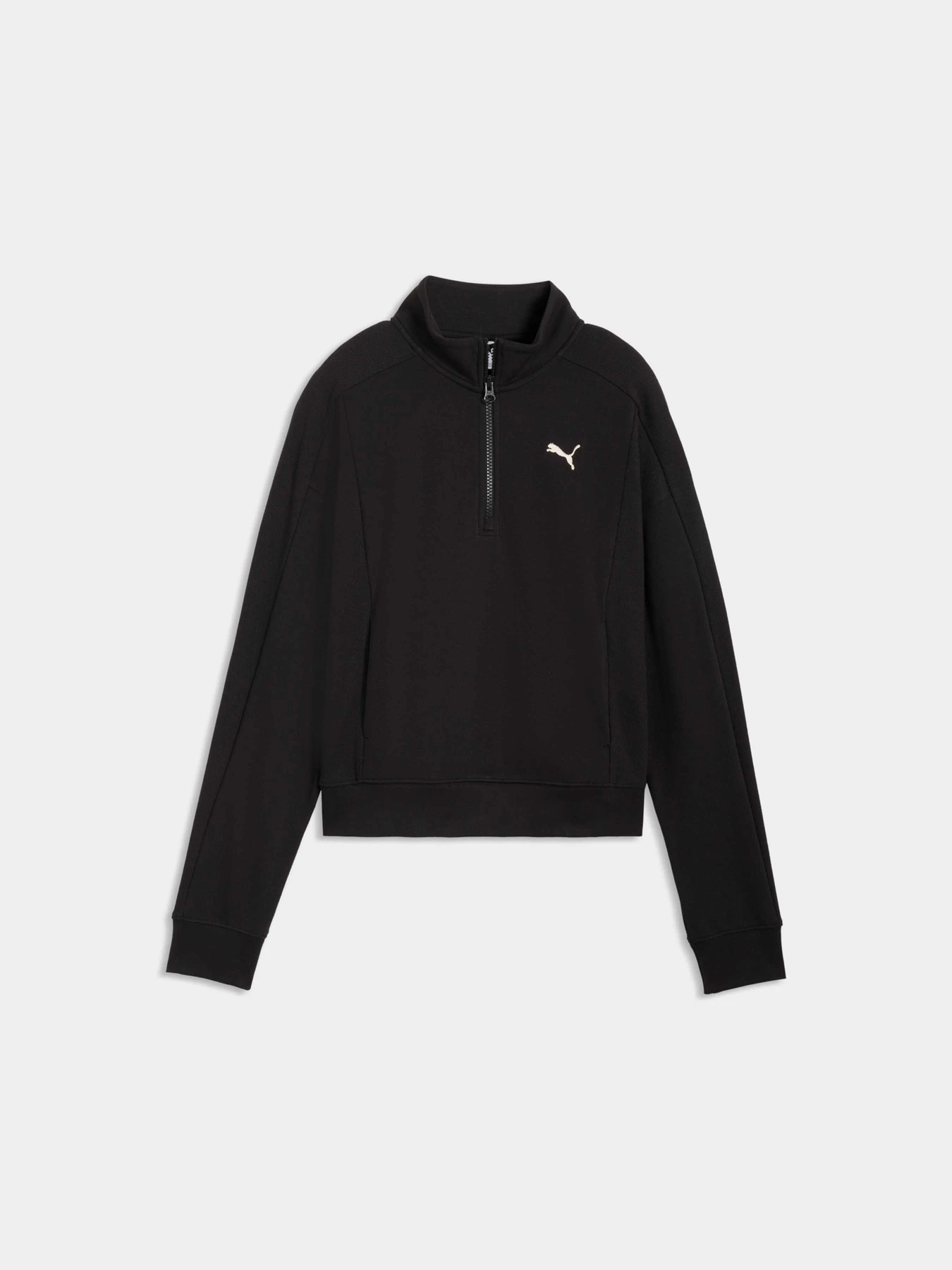 Худі та світшоти PUMA Class Relaxed Half-zip модель 691873 Худі та світшоти PUMA Class Relaxed Half-zip модель 691873 Фото