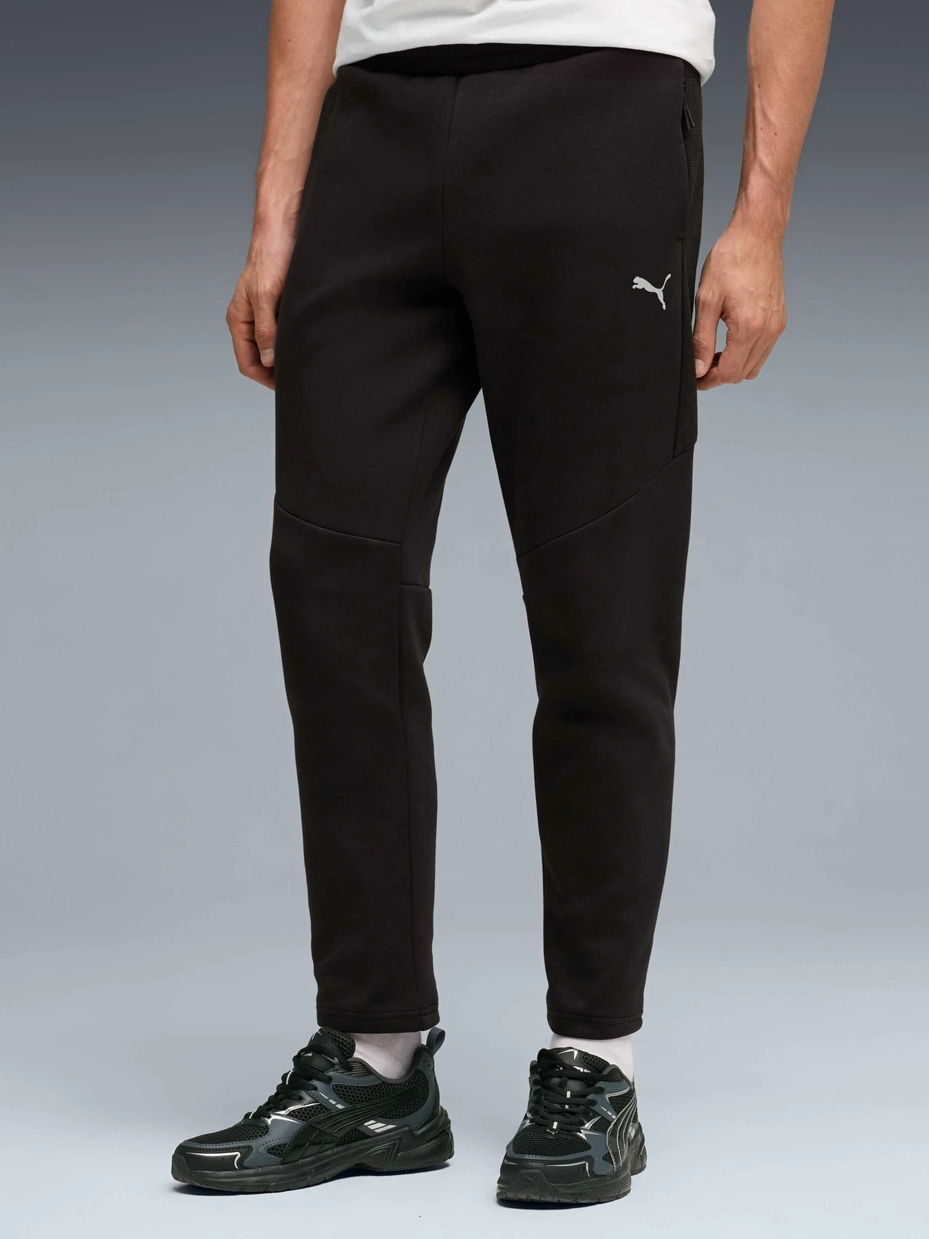 Брюки PUMA Evostripe Pants модель 692191 Фото