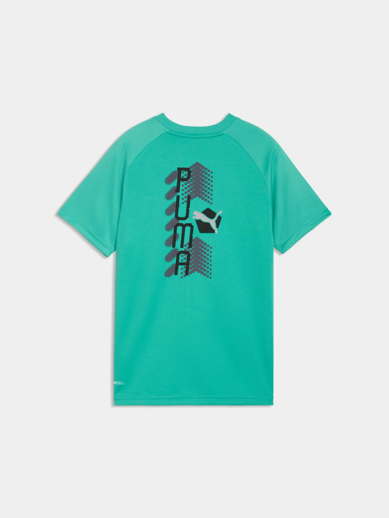 Футболки и поло PUMA Active Sports Poly Tee модель 691756 Футболки и поло PUMA Active Sports Poly Tee модель 691756 Фото