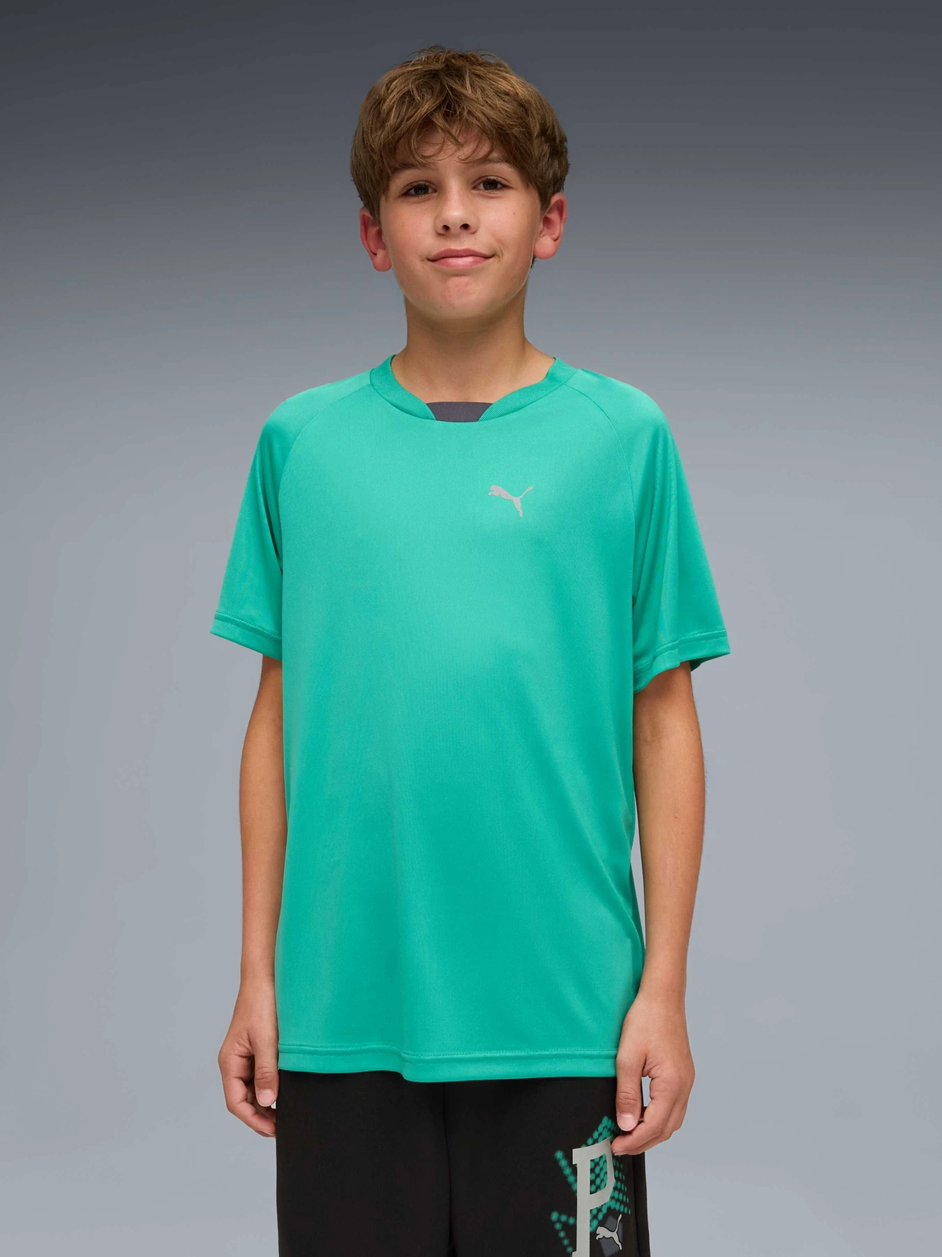 Футболки и поло PUMA Active Sports Poly Tee модель 691756 Футболки и поло PUMA Active Sports Poly Tee модель 691756 Фото