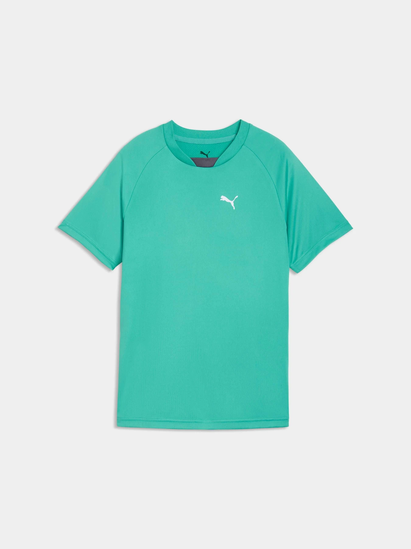 Футболки и поло PUMA Active Sports Poly Tee модель 691756 Футболки и поло PUMA Active Sports Poly Tee модель 691756 Фото