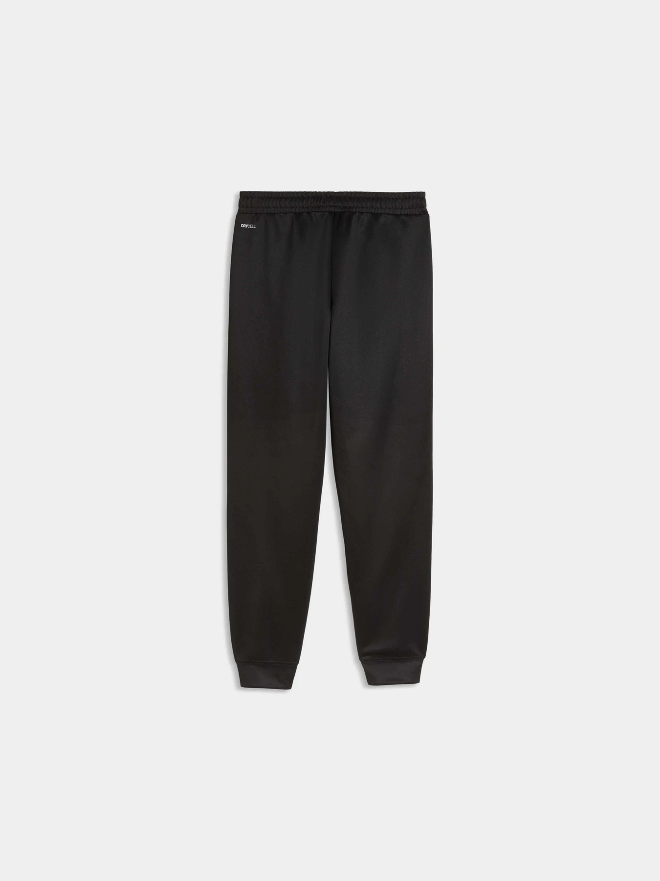 Брюки PUMA Active Sports Poly Pants модель 691758 Брюки PUMA Active Sports Poly Pants модель 691758 Фото