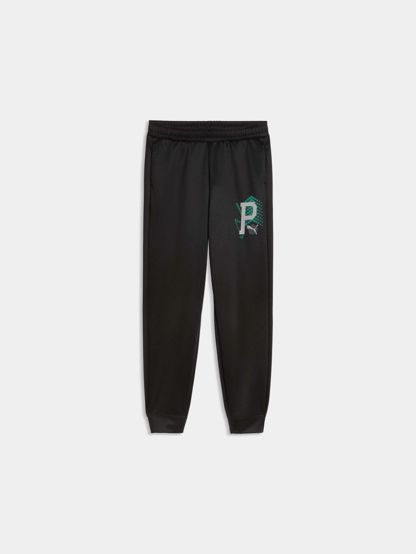 Брюки PUMA Active Sports Poly Pants модель 691758 Брюки PUMA Active Sports Poly Pants модель 691758 Фото