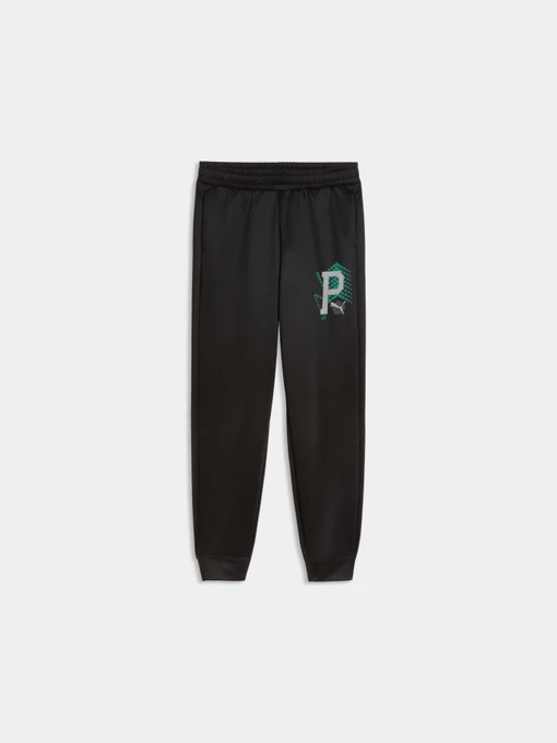 Брюки PUMA Active Sports Poly Pants модель 691758 Фото