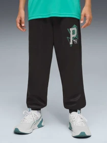 Брюки PUMA Active Sports Poly Pants модель 691758 Фото