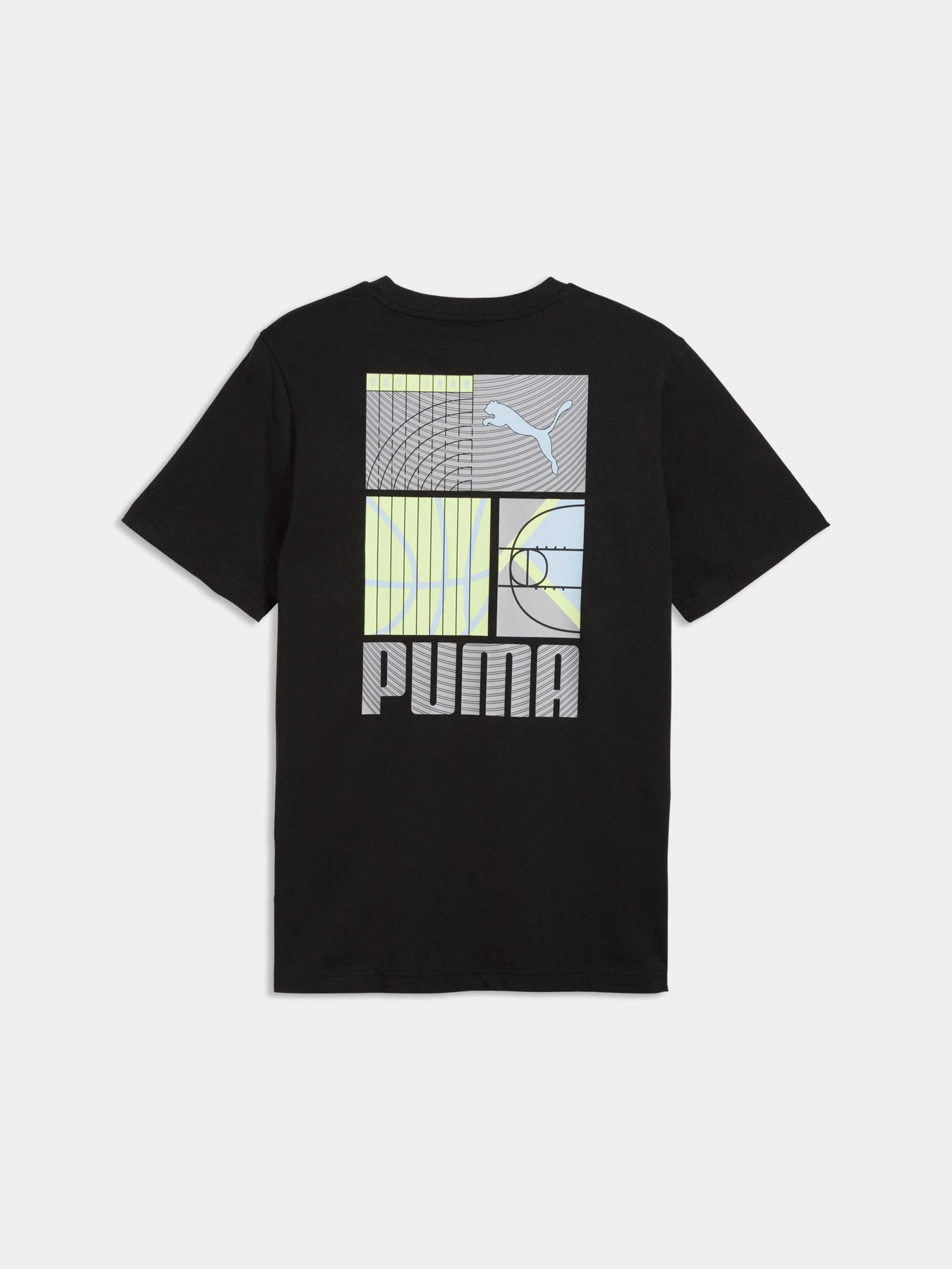 Футболки і поло PUMA Graphic Tee модель 691780 Фото