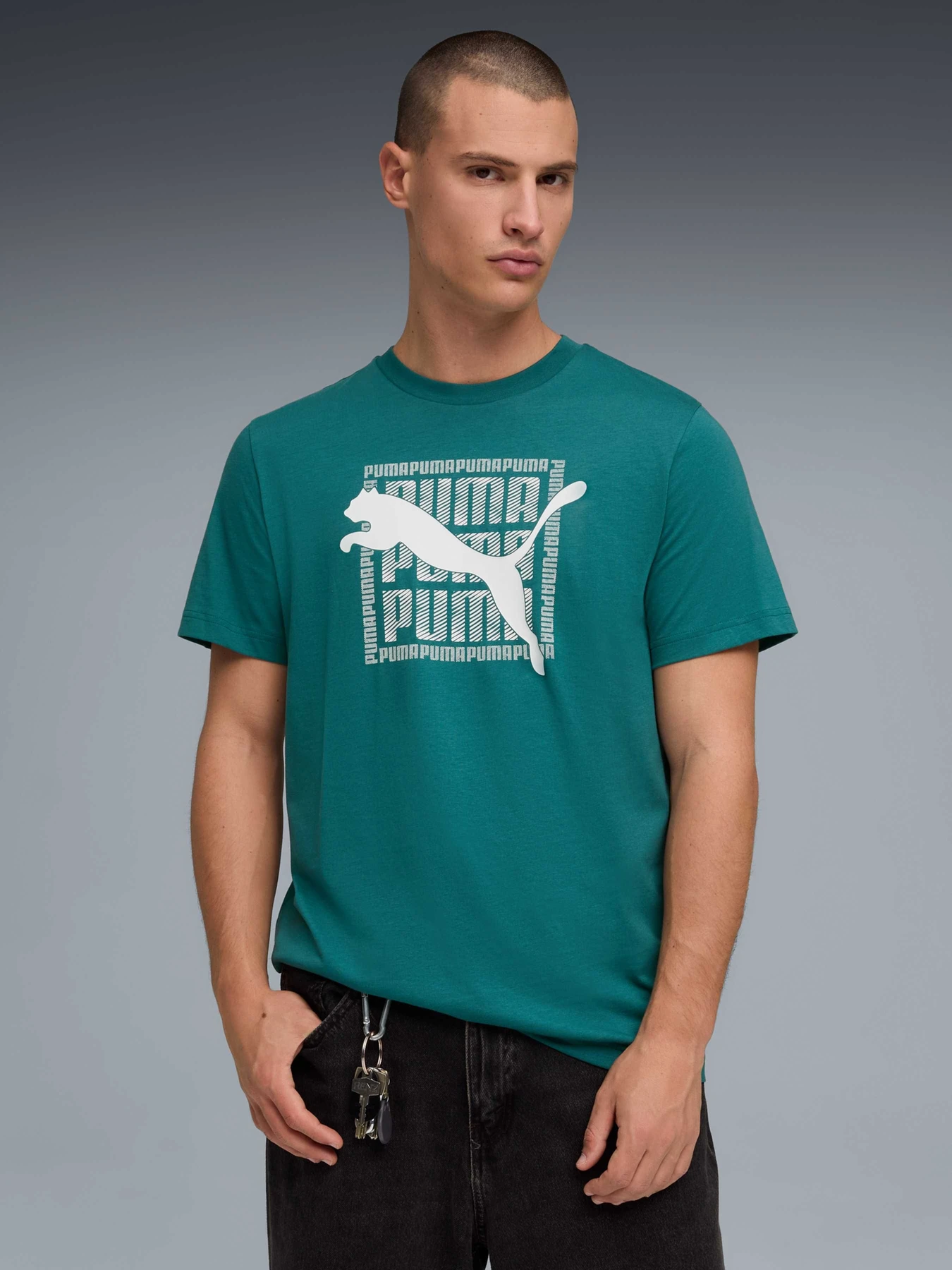 Футболки и поло PUMA Graphic Tee модель 691775 Футболки и поло PUMA Graphic Tee модель 691775 Фото