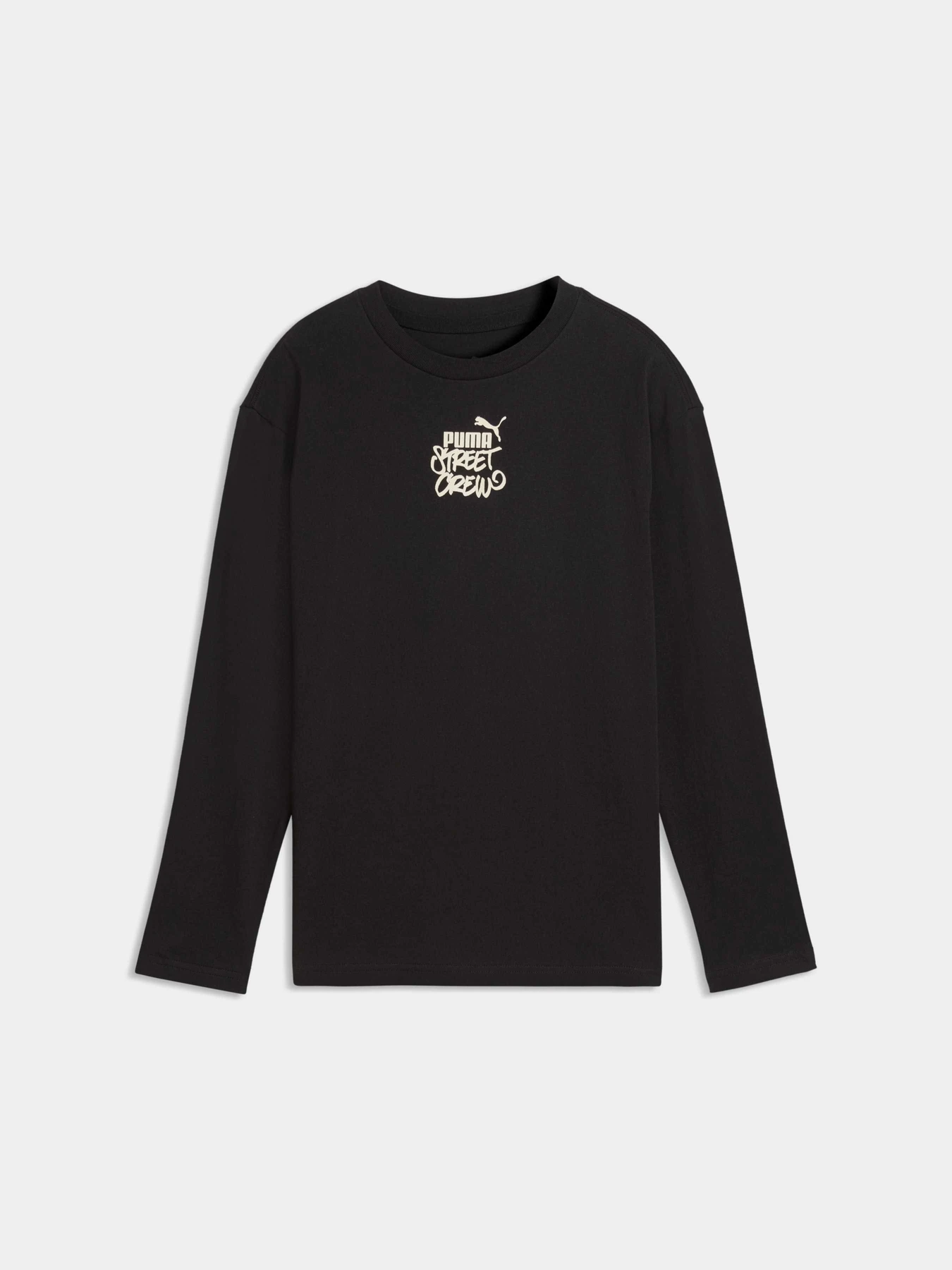 Худі та світшоти PUMA Mid90s Longsleeve Tee модель 691745 Фото