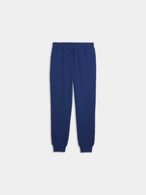 Брюки PUMA Pl Ess Pants модель 634494 Фото