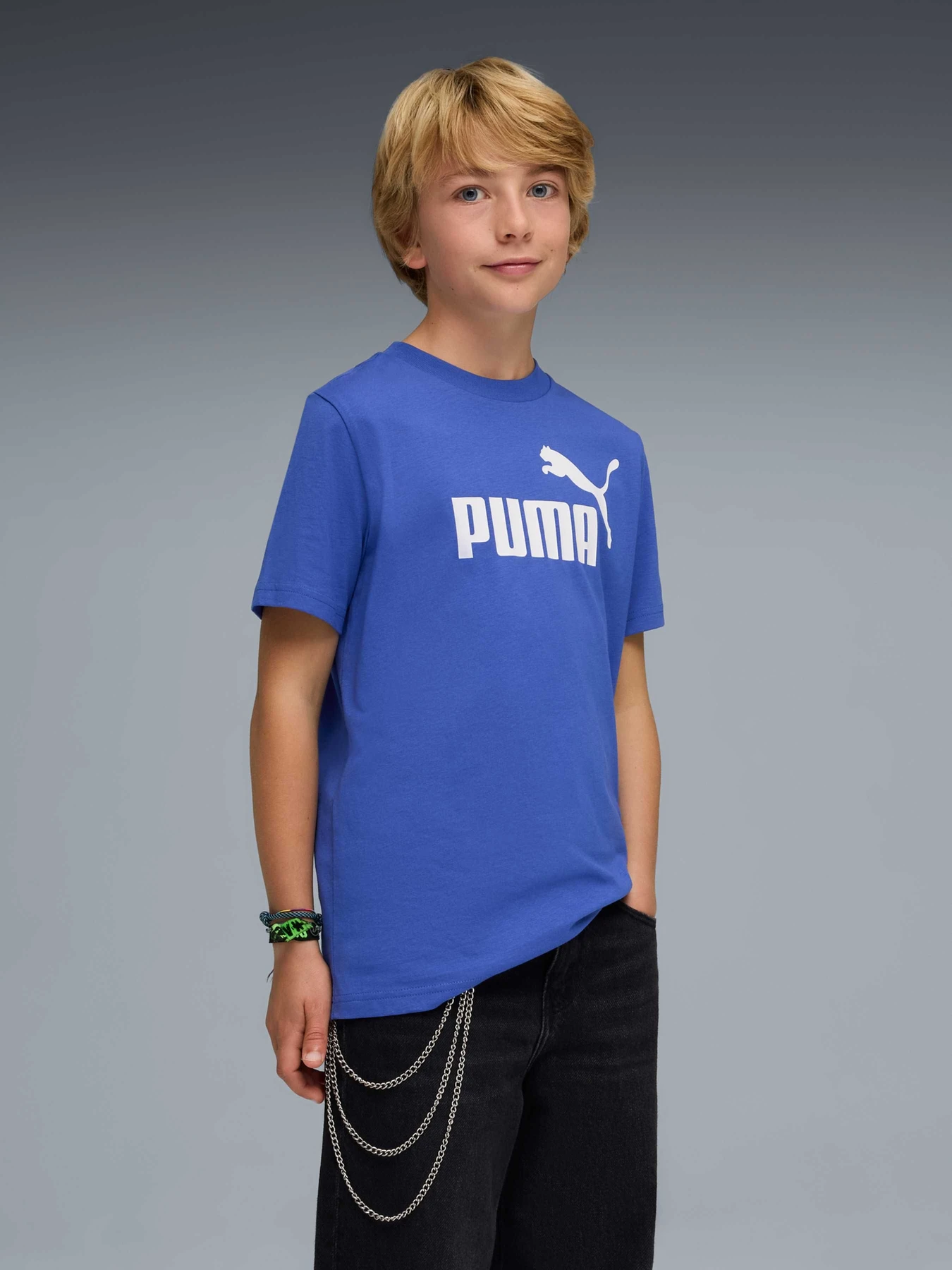 Футболки и поло PUMA Ess No. 1 Logo Tee модель 684906 Фото