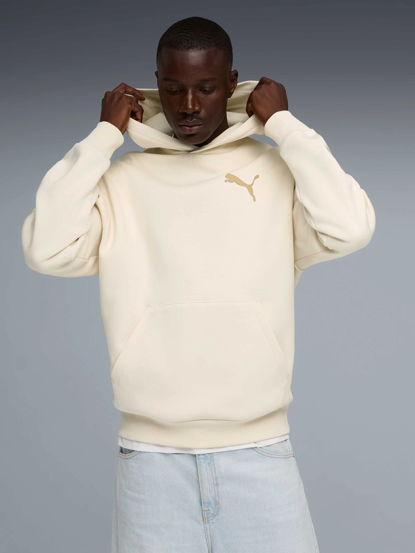 Худи и свитшоты PUMA Ess Elevated Cat Logo Hoodie модель 634392 Худи и свитшоты PUMA Ess Elevated Cat Logo Hoodie модель 634392 Фото