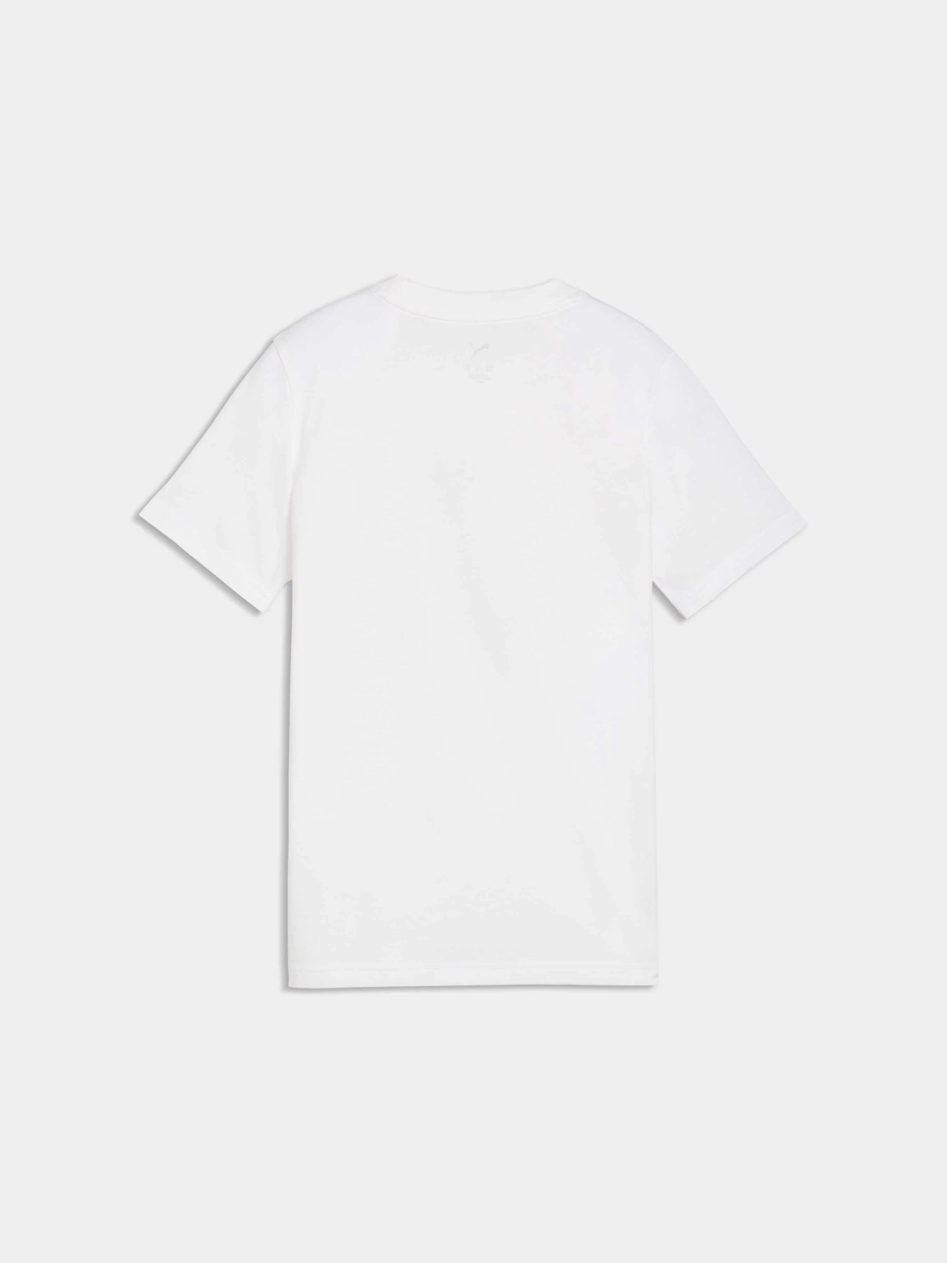 Футболки и поло PUMA Graphic Tee модель 691738 Фото