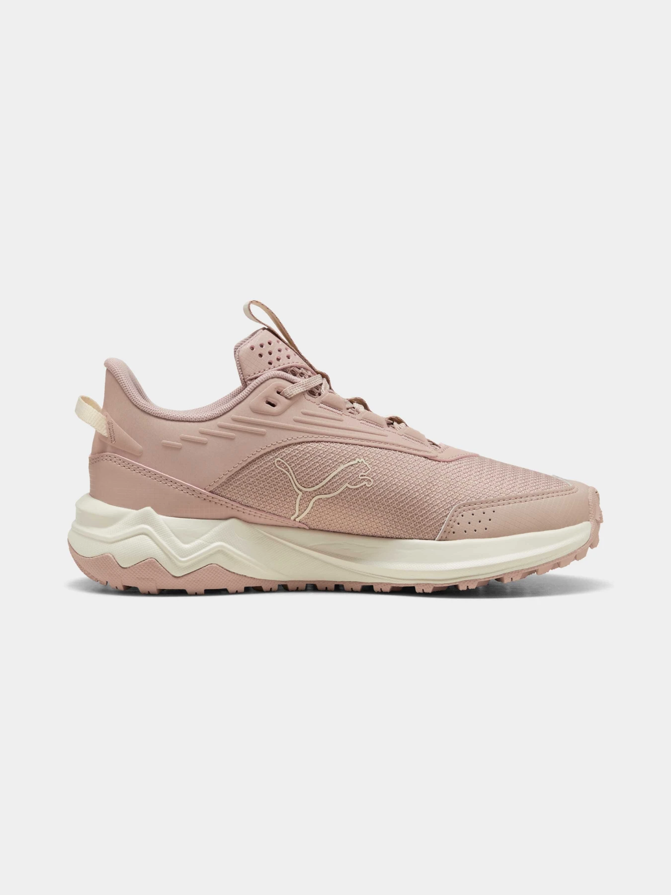 Кросівки PUMA Extend Lite Trail модель 379538 Фото