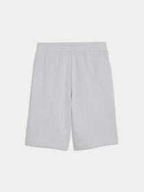 Шорты PUMA Ess No. 1 Logo Shorts модель 682595 Фото