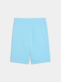 Шорты PUMA Ess No. 1 Logo Shorts модель 682595 Фото