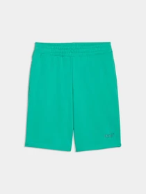 Шорты PUMA Ess No. 1 Logo Shorts модель 682595 Фото