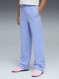 Брюки PUMA Wardrobe Ess Wide Sweatpants модель 629896 Фото