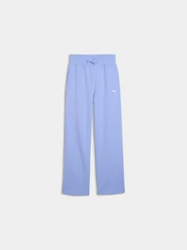 Штани PUMA Wardrobe Ess Wide Sweatpants модель 629896 Фото