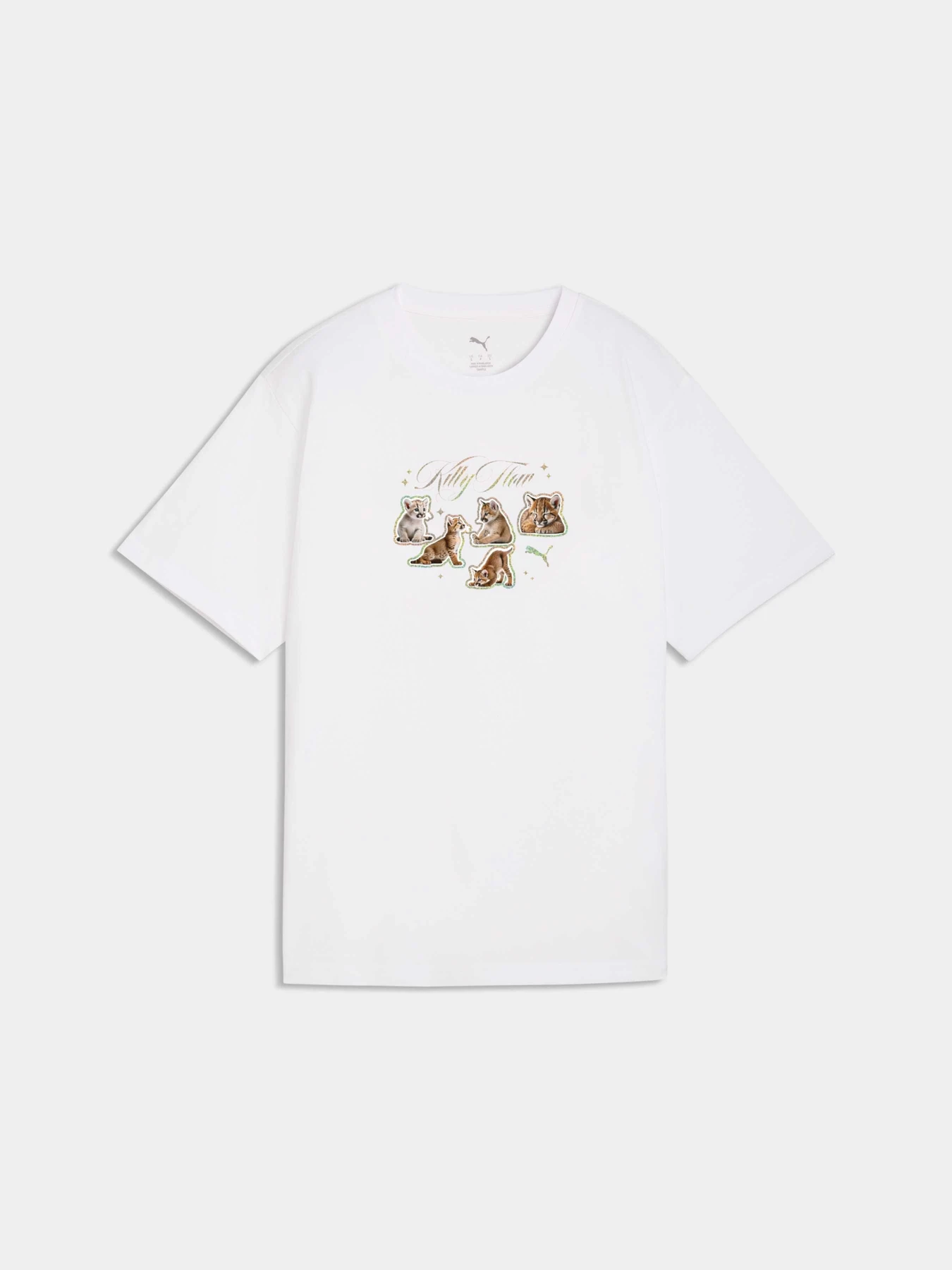Футболки і поло PUMA Graphics Tee модель 634589 Фото