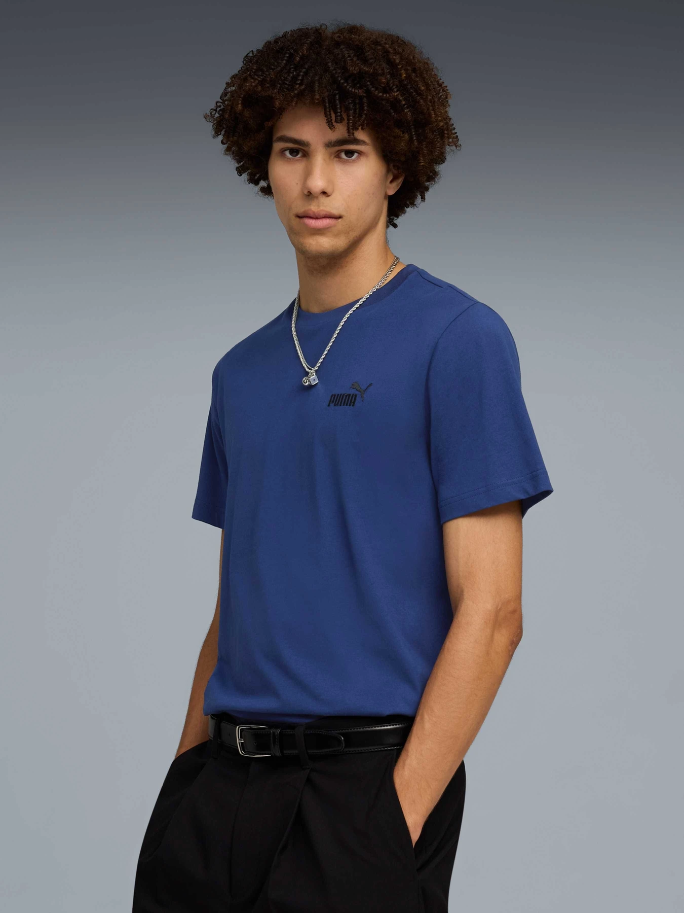 Футболки и поло PUMA Ess Small No. 1 Logo Tee модель 682535 Футболки и поло PUMA Ess Small No. 1 Logo Tee модель 682535 Фото