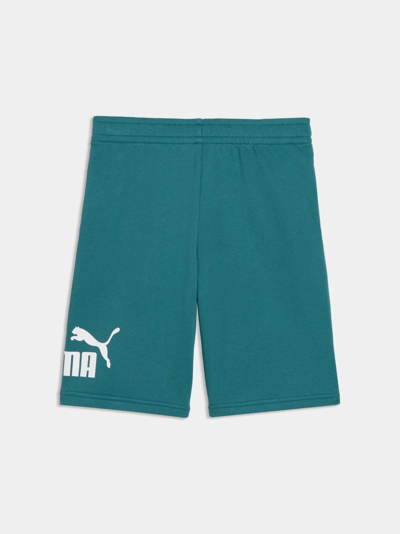 Шорты PUMA Ess No. 1 Logo Shorts Tr модель 684918 Фото