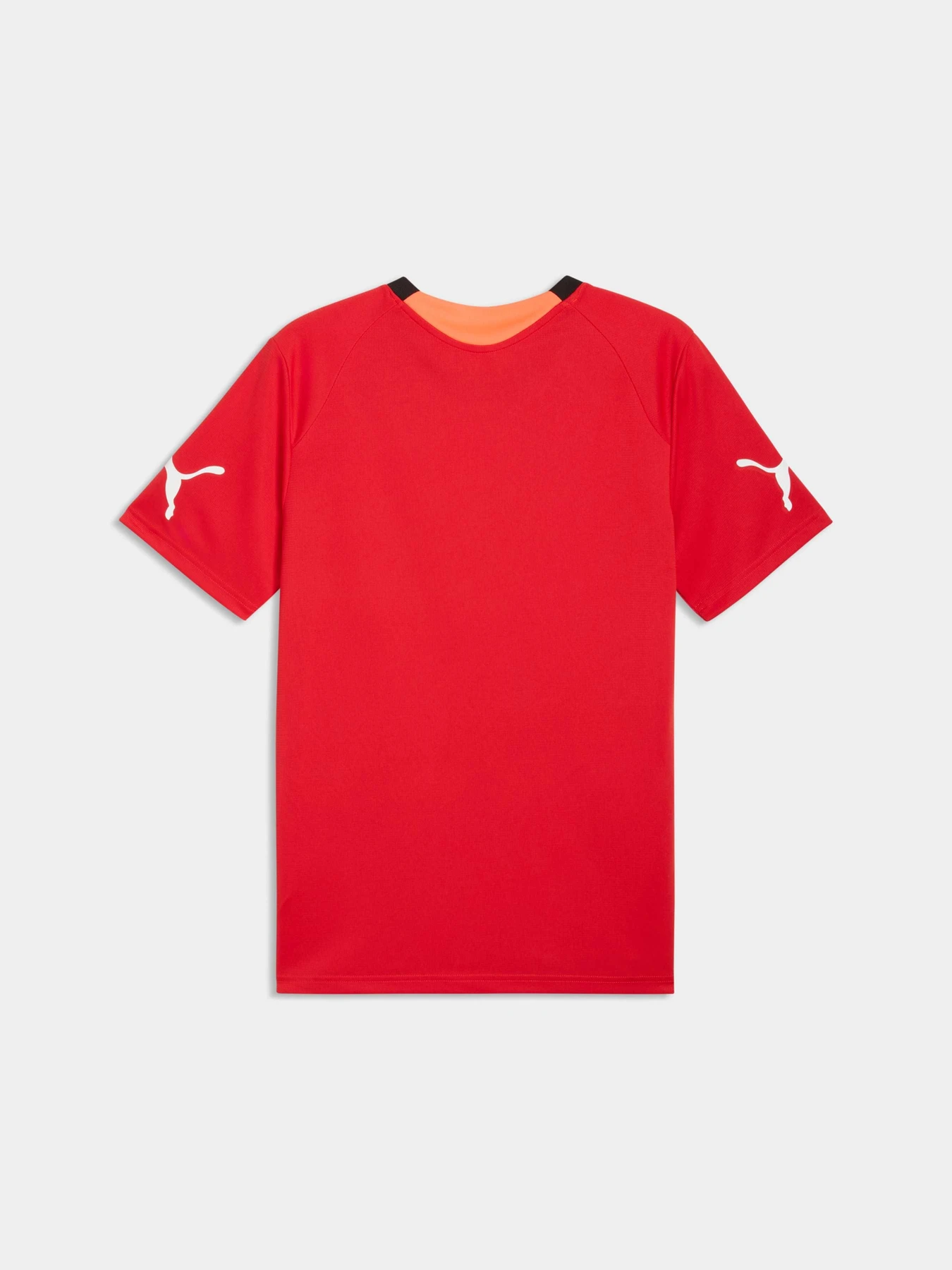 Футболки и поло PUMA Individualfinal Jersey модель 660424 Футболки и поло PUMA Individualfinal Jersey модель 660424 Фото