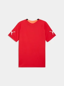 Футболки и поло PUMA Individualfinal Jersey модель 660424 Фото