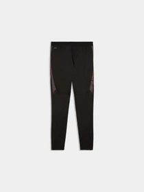 Брюки PUMA Individualfinal Trg Pants модель 660431 Фото