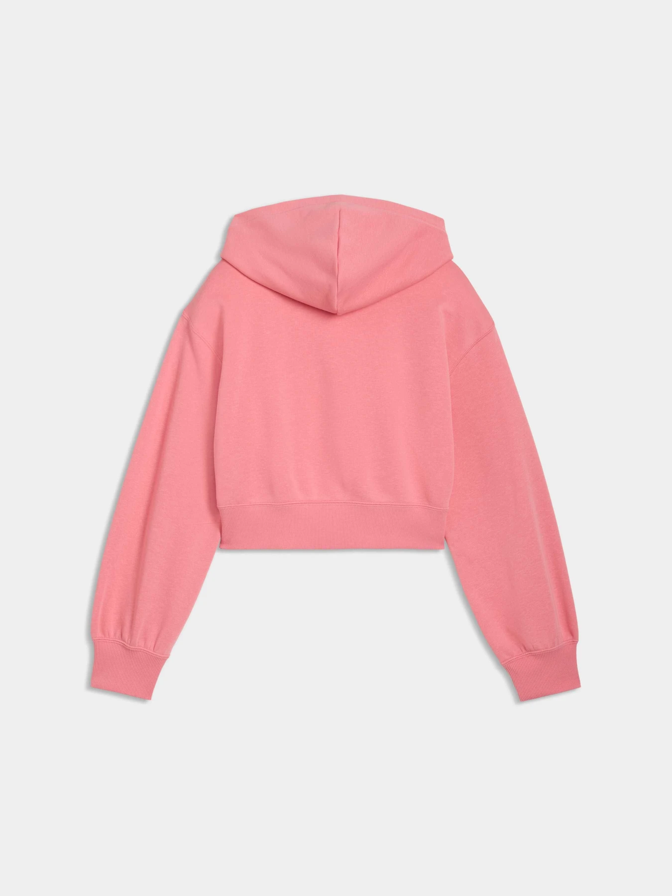 Худі та світшоти PUMA Wardrobe Ess Hoodie модель 629894 Фото