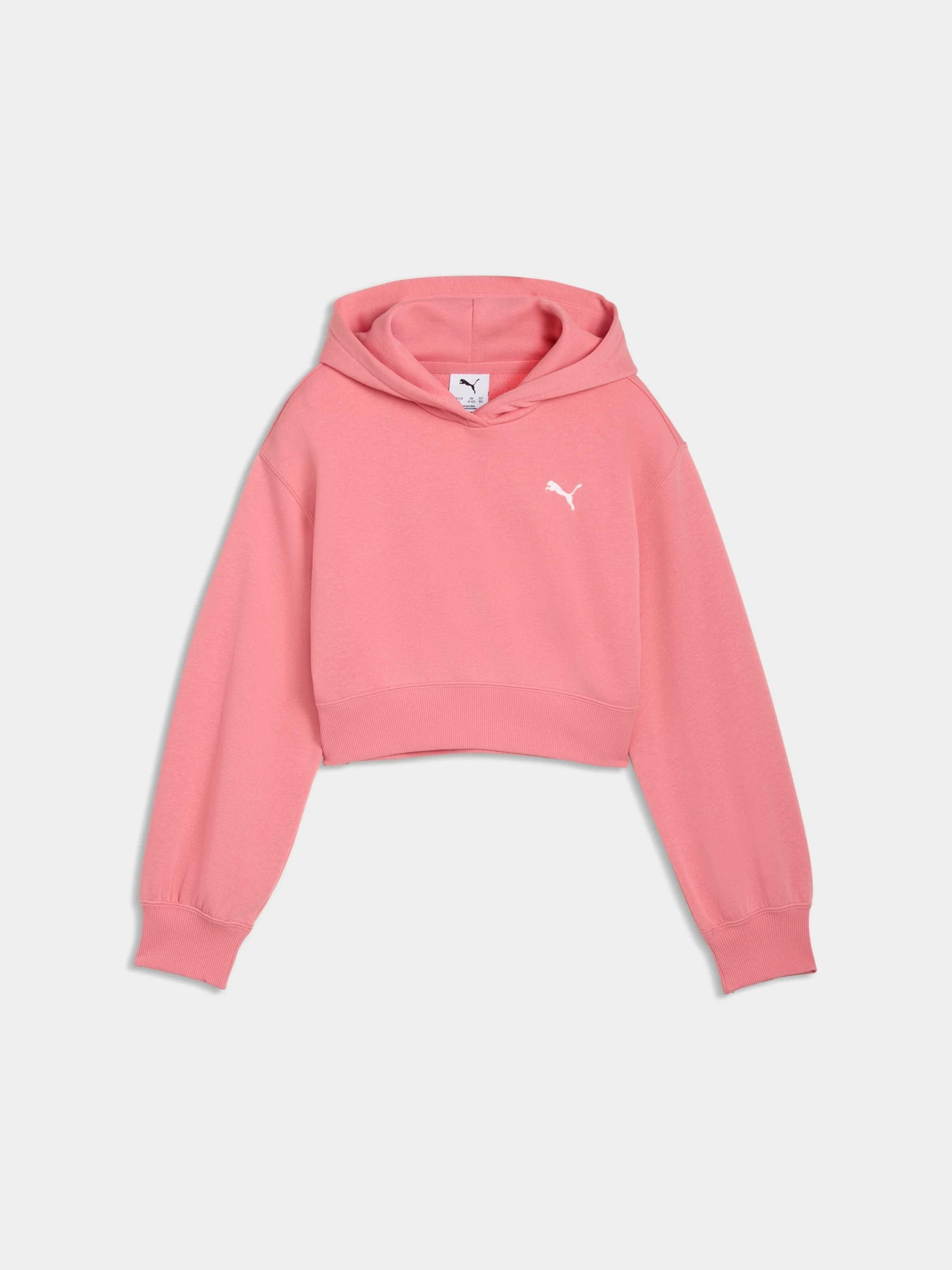 Худі та світшоти PUMA Wardrobe Ess Hoodie модель 629894 Фото