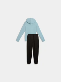 Костюмы PUMA Hooded Sweat Suit Tr модель 691902 Фото