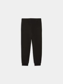 Штани PUMA Super Sweatpants модель 691920 Фото