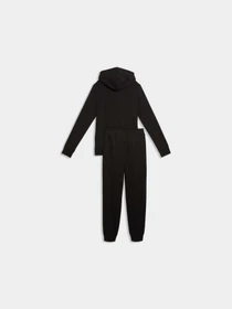Костюмы PUMA Hooded Sweat Suit Tr модель 691902 Фото