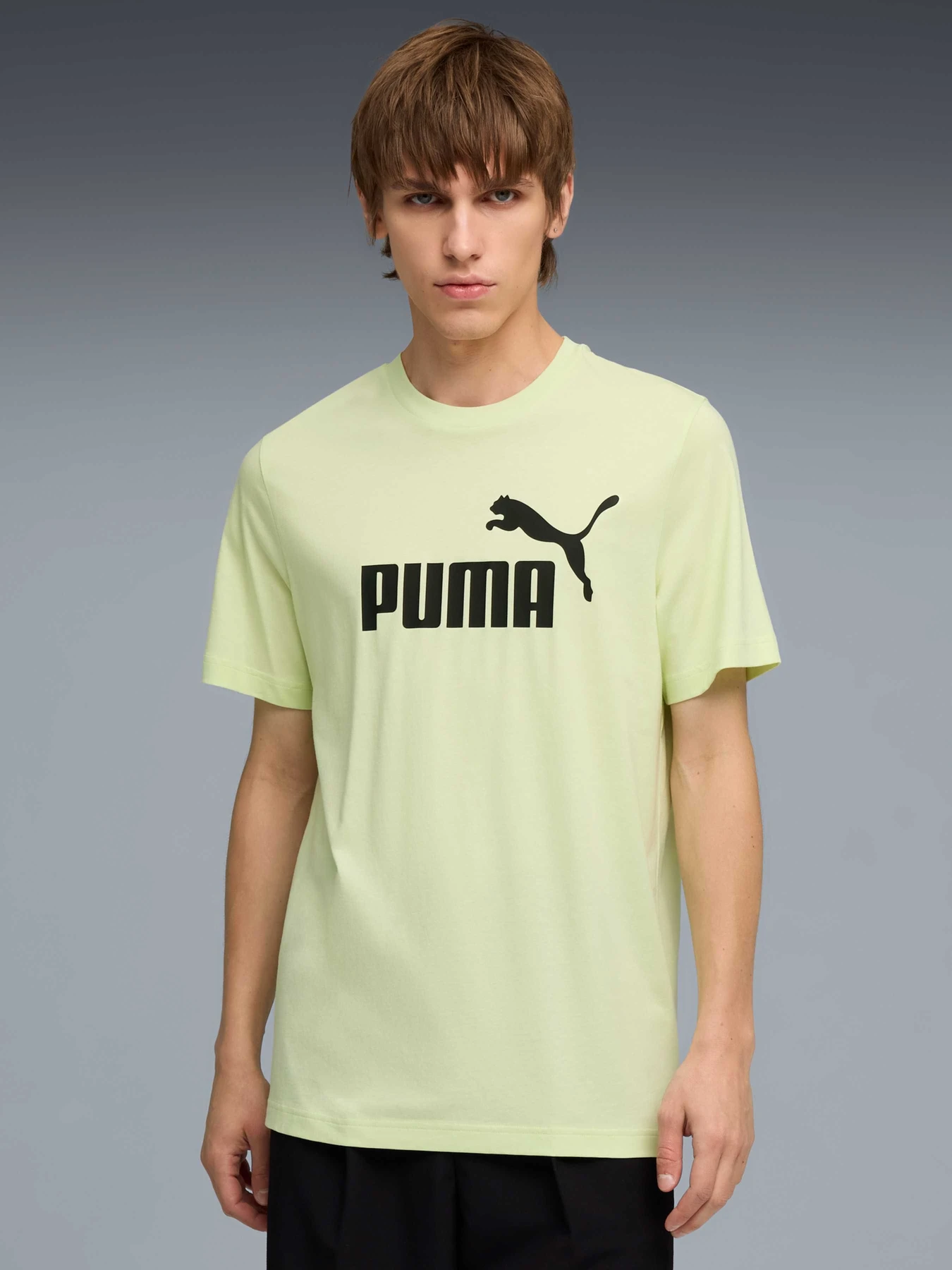 Футболки і поло PUMA Ess No. 1 Logo Tee модель 682533 Футболки і поло PUMA Ess No. 1 Logo Tee модель 682533 Фото