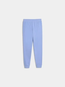 Брюки PUMA Ess Script Sweatpants модель 691763 Фото