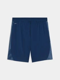 Шорты PUMA Individualfinal Shorts модель 660428 Фото