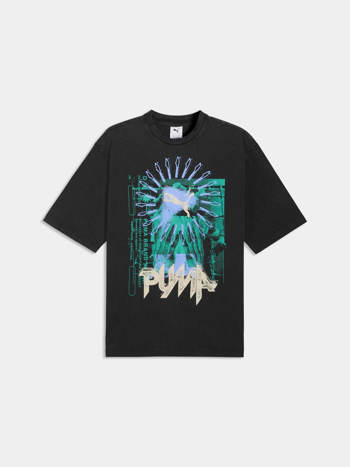 Футболки и поло PUMA Graphic Tee модель 634442 Фото