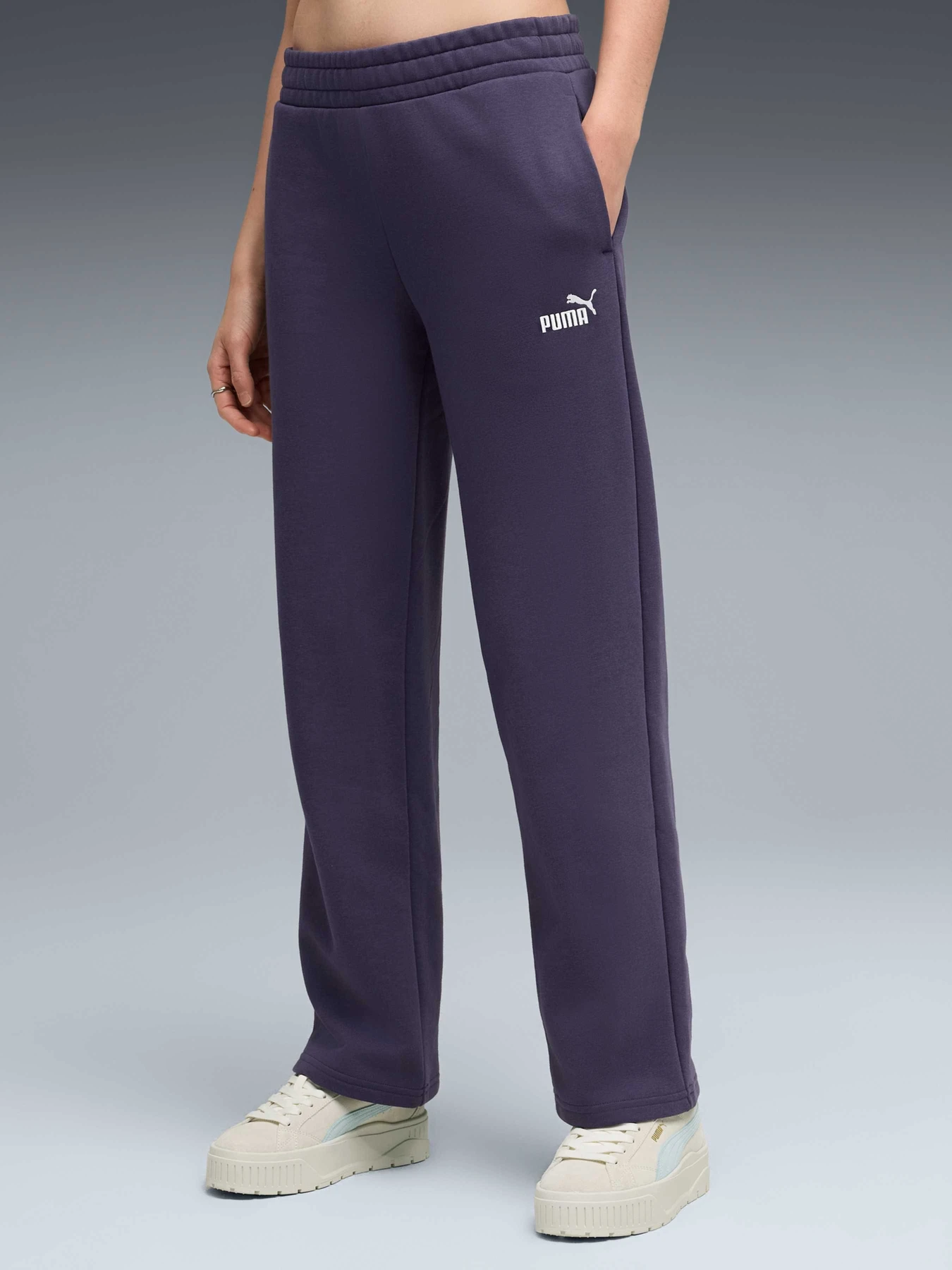Брюки PUMA Ess No.1 Logo Straight Pants модель 684979 Фото